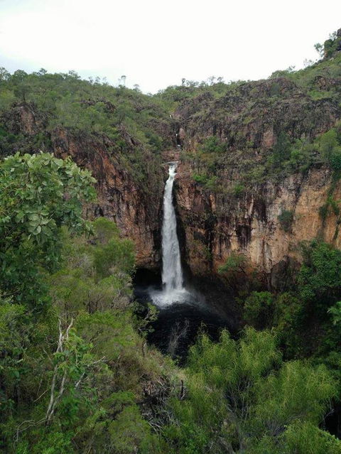 Small-Group Litchfield National Park Day Trip From Darwin - Accommodation Search 5