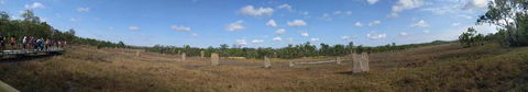 Small-Group Litchfield National Park Day Trip From Darwin - Accommodation Search 10