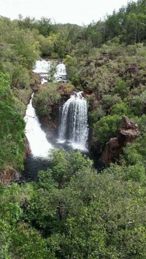 Small-Group Litchfield National Park Day Trip From Darwin - Accommodation Search 7