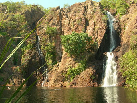 Small-Group Litchfield National Park Day Trip From Darwin - Accommodation Search 15