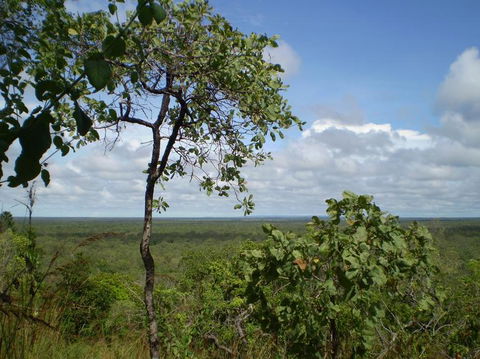 Small-Group Litchfield National Park Day Trip From Darwin - Accommodation Search 8