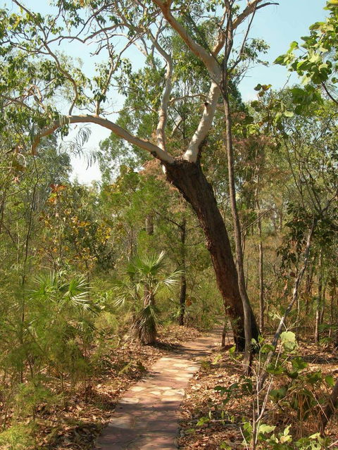 Small-Group Litchfield National Park Day Trip From Darwin - Accommodation Search 14