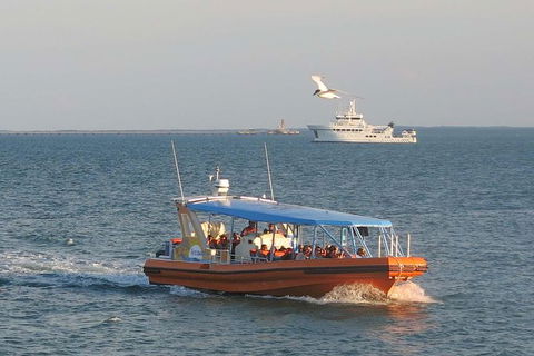 1-Hour Darwin Harbour Highlights Cruise - Accommodation Search 0