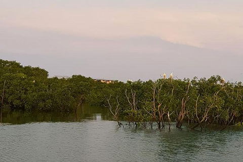 1-Hour Darwin Harbour Highlights Cruise - Accommodation Search 7