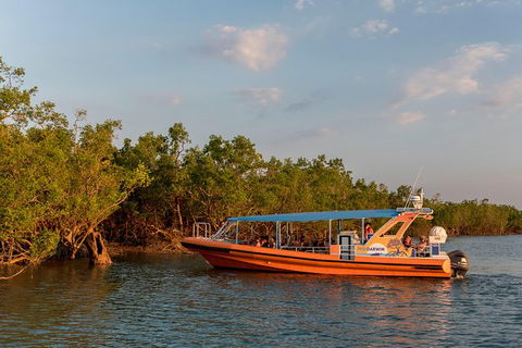1-Hour Darwin Harbour Highlights Cruise - Accommodation Search 3