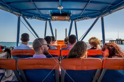 1-Hour Darwin Harbour Highlights Cruise - Accommodation Search 6