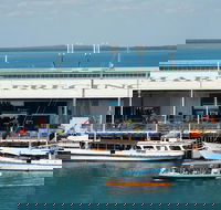Darwin Harbour Bombing of Darwin Cruise - Accommodation Search