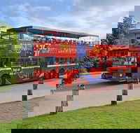 Darwin Shore Excursion Hop-on Hop-off Bus Tour - Accommodation Search
