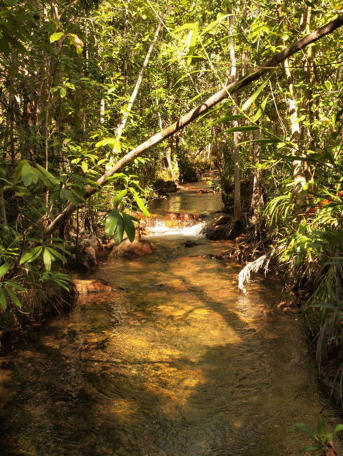 Katherine Day Tour From Darwin Including Katherine Gorge Cruise - Accommodation Search 10