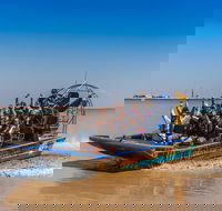 1 Hour Darwin Airboat Tours - Accommodation Search