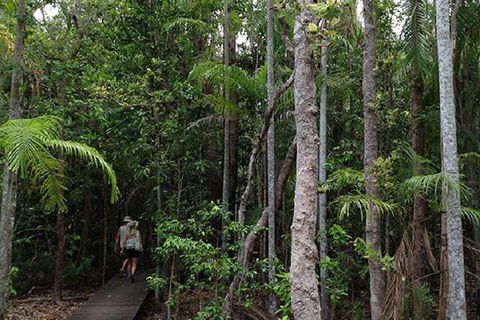 Litchfield National Park And Jumping Crocodile Cruise - Accommodation Search 5