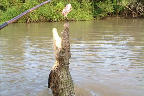 Litchfield National Park And Jumping Crocodile Cruise - Accommodation Search 10