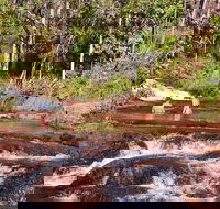 Litchfield National Park Day Tour from Darwin With Waterfalls And Buley Rockhole - Accommodation Search