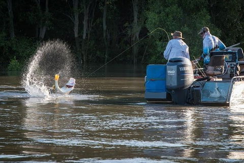 Freshwater Or Saltwater Barramundi Fishing Day Trip From Darwin - Accommodation Search 1