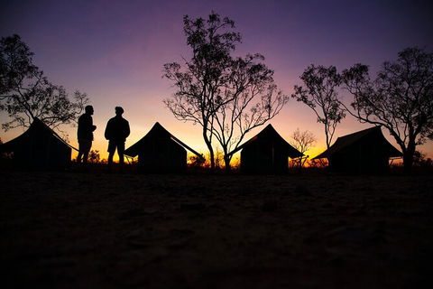 5 Day 4WD Jabiru Dreaming Top End Safari - Accommodation Search 3