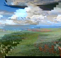 Kakadu National Park Scenic Flight - Accommodation Search