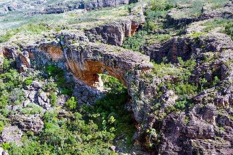 Darwin To Katherine Day Trip By Air Including Nitmiluk (Katherine) Gorge Cruise - Accommodation Search 5