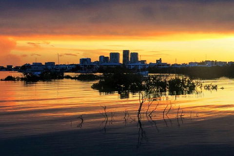 Tropical Light Tropical Bite - Twilight Cruise And CHOW Dinner - Accommodation Search 0