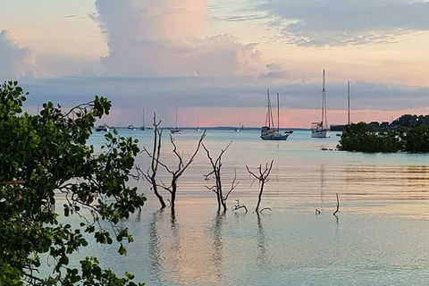 Tropical Light Tropical Bite - Twilight Cruise And CHOW Dinner - Accommodation Search 7