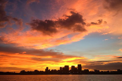 Tropical Light Tropical Bite - Twilight Cruise And CHOW Dinner - Accommodation Search 10
