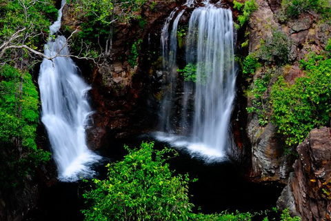 Litchfield Dreams 1 Day National Park Waterfall Swimming & Jumping Croc Cruise - Accommodation Search 0