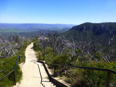 All Inclusive Blue Mountains Small-Group Day Trip From Sydney - Accommodation Search 9
