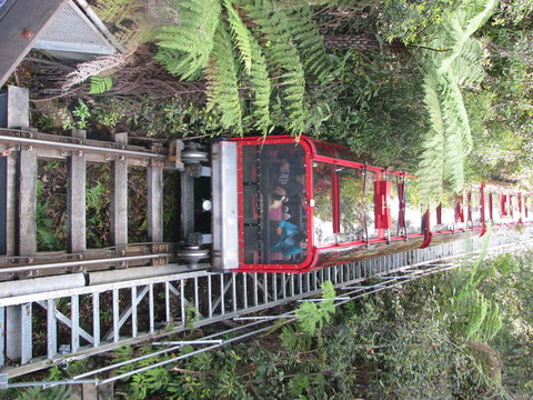 All Inclusive Blue Mountains Small-Group Day Trip From Sydney - Accommodation Search 16