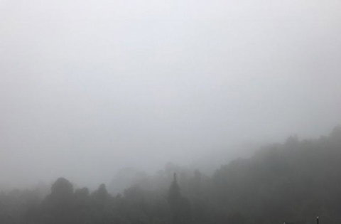 All Inclusive Blue Mountains Small-Group Day Trip From Sydney - Accommodation Search 20