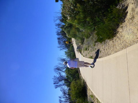 All Inclusive Blue Mountains Small-Group Day Trip From Sydney - Accommodation Search 7