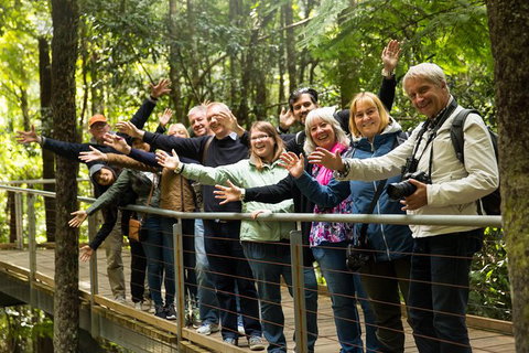 All Inclusive Blue Mountains Small-Group Day Trip From Sydney - Accommodation Search 30