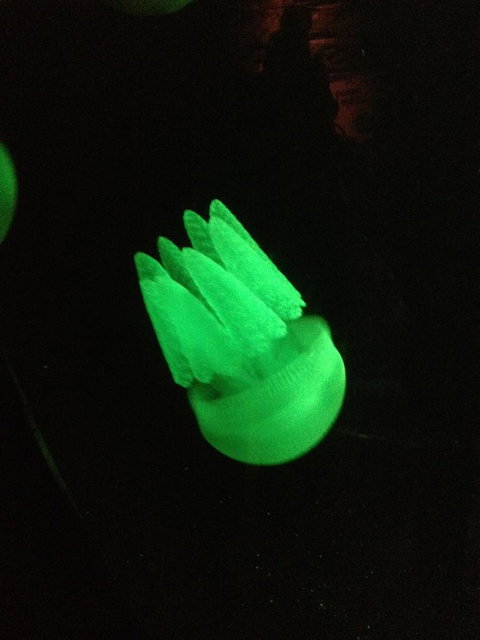 SEA LIFE Sydney Aquarium Entrance Ticket - Accommodation Search 2