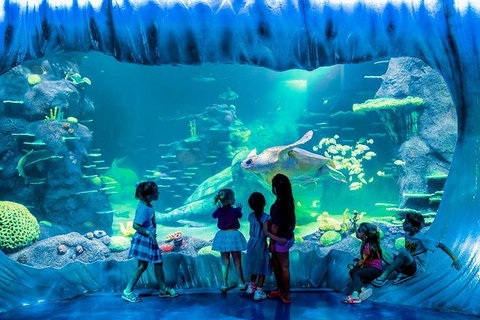 SEA LIFE Sydney Aquarium Entrance Ticket - Accommodation Search 0