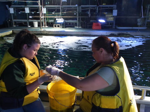 SEA LIFE Sydney Aquarium Entrance Ticket - Accommodation Search 14