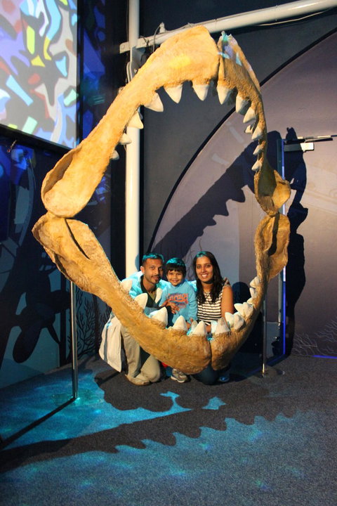 SEA LIFE Sydney Aquarium Entrance Ticket - Accommodation Search 6