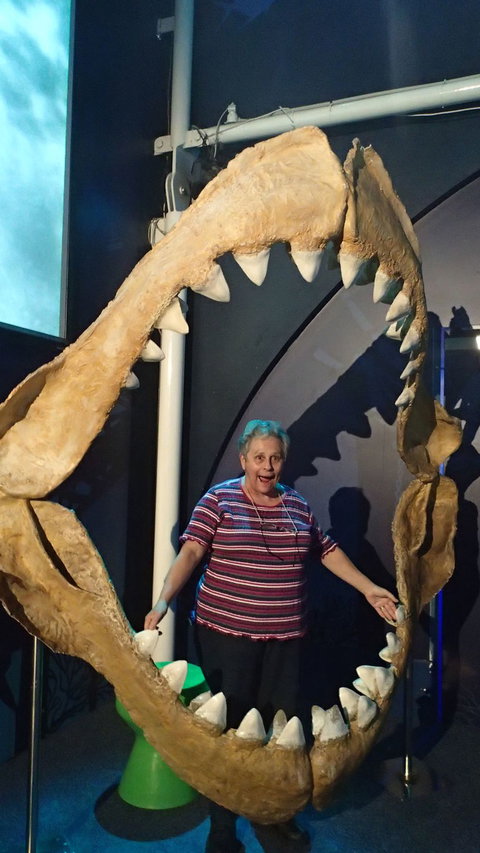 SEA LIFE Sydney Aquarium Entrance Ticket - Accommodation Search 3