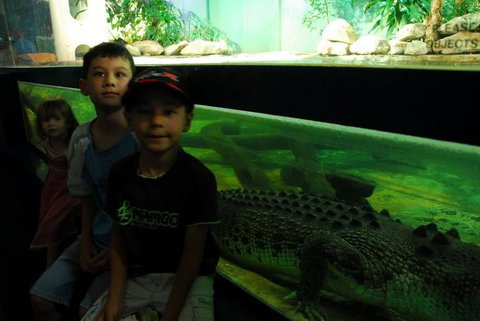 SEA LIFE Sydney Aquarium Entrance Ticket - Accommodation Search 22