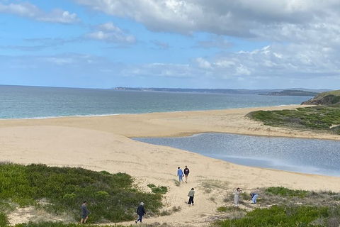 The Eurobodalla Experience (Full Day Private Tour Including Lunch) - Accommodation Search 19