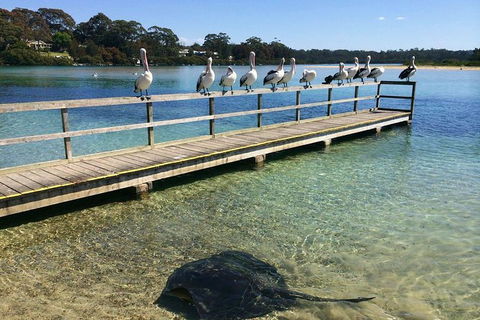 The Eurobodalla Experience (Full Day Private Tour Including Lunch) - Accommodation Search 2