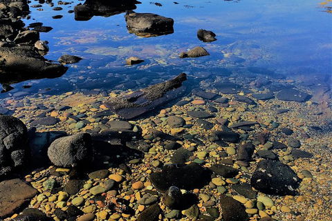 The Eurobodalla Experience (Full Day Private Tour Including Lunch) - Accommodation Search 14