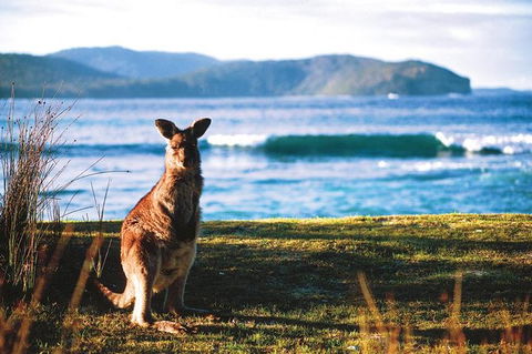 The Eurobodalla Experience (Full Day Private Tour Including Lunch) - Accommodation Search 7