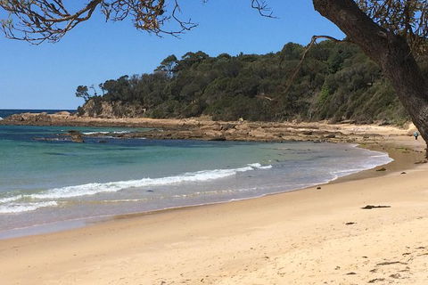 The Eurobodalla Experience (Full Day Private Tour Including Lunch) - Accommodation Search 13