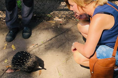 The Eurobodalla Experience (Full Day Private Tour Including Lunch) - Accommodation Search 18