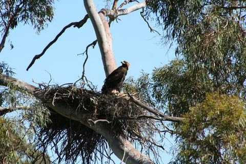 Castle Creek Reserve - Accommodation Search 0