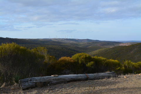 Cleve Hills Scenic Drive & Lookout - Accommodation Search 0