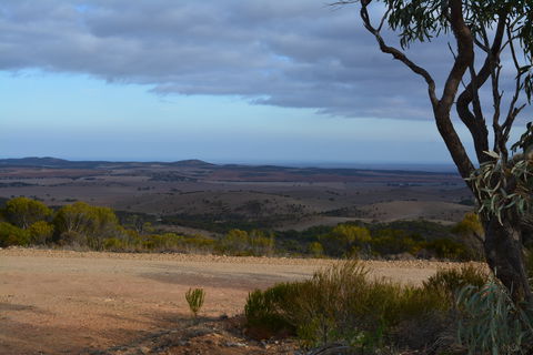 Cleve Hills Scenic Drive & Lookout - Accommodation Search 1