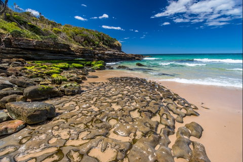 Dawsons Island Beach - Accommodation Search 0