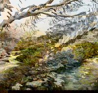 Dead Horse Gap walking track - Accommodation Search