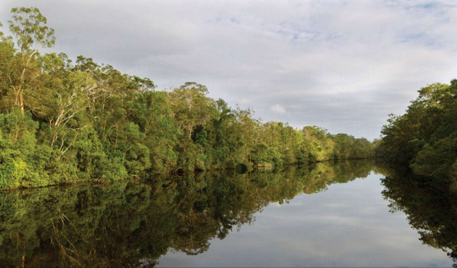 The Freshwater NSW Accommodation Search