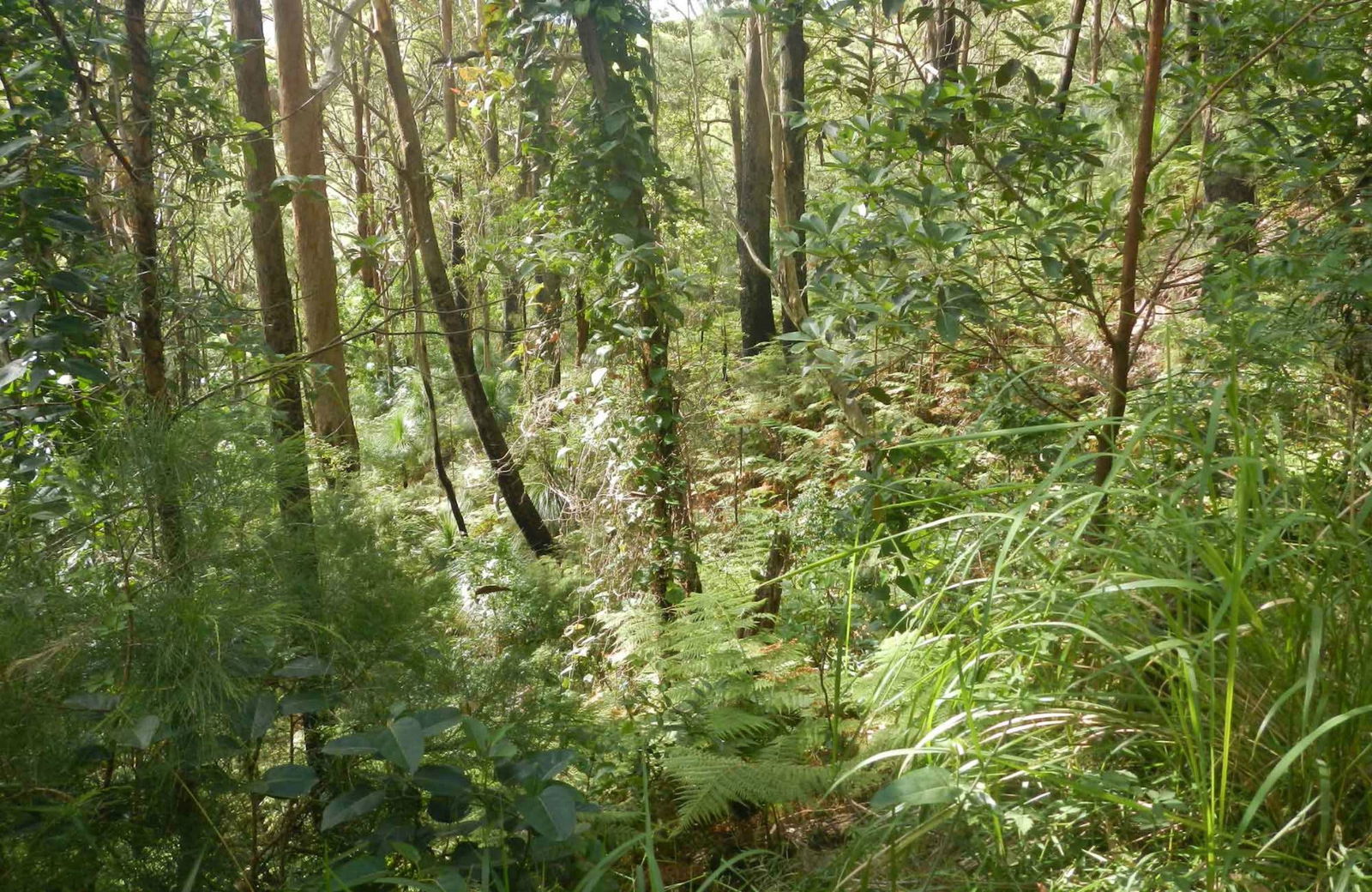Arakoon NSW Accommodation Search