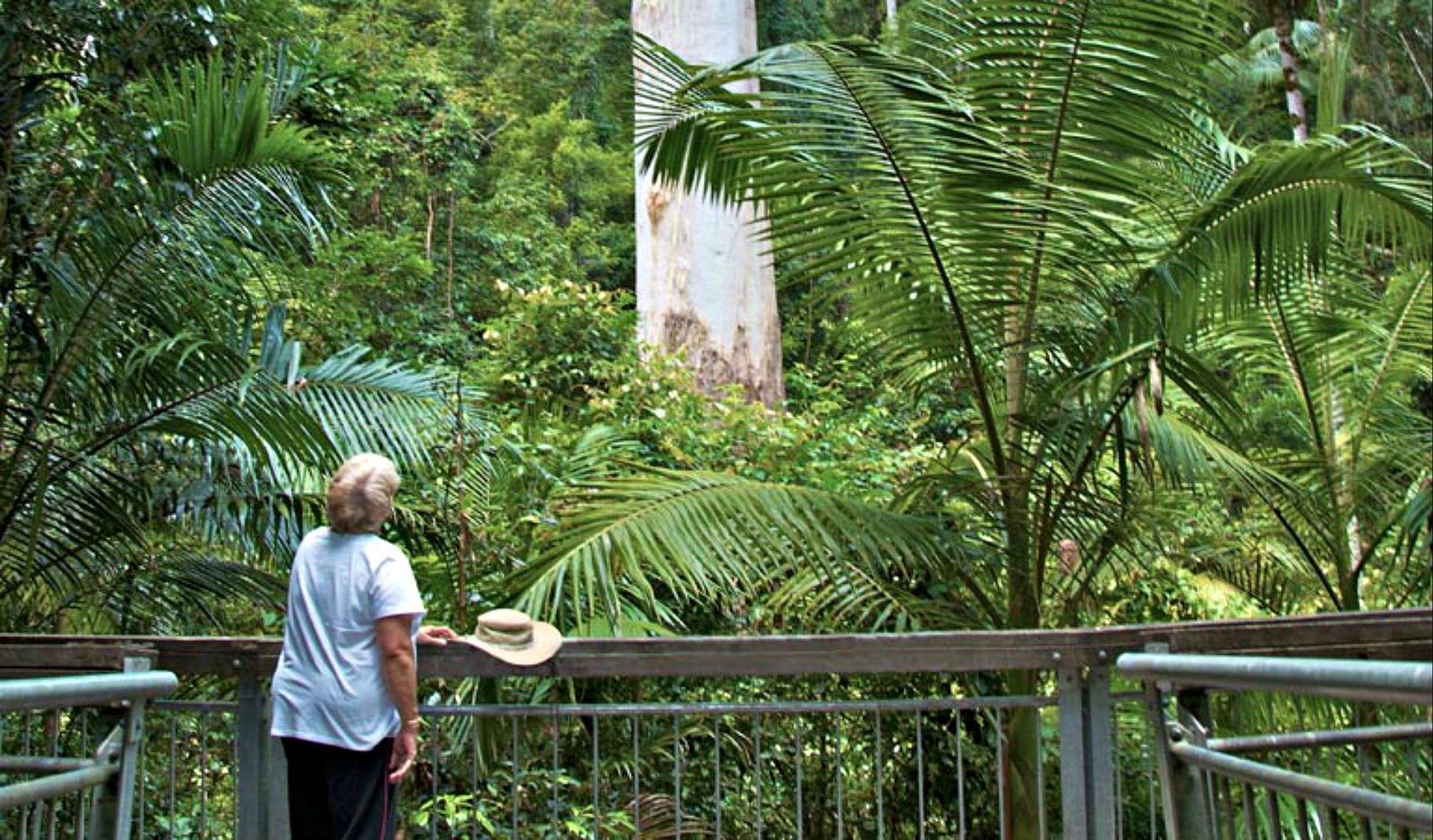 Boolambayte NSW Accommodation Search